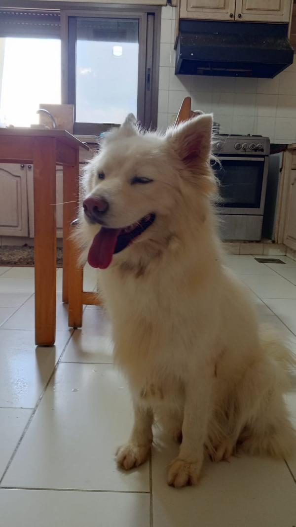 VICKY Foto 2